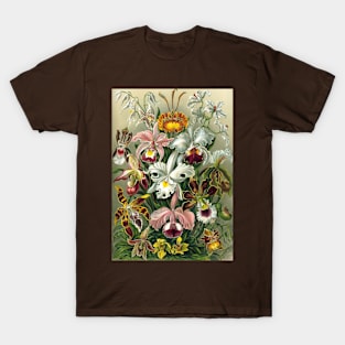 Orchid Vintage Botanical Illustration T-Shirt